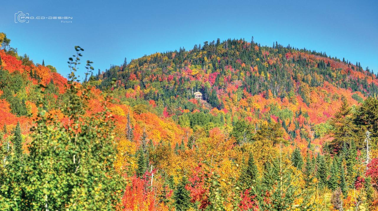 Le St Bernard - Les Chalets Spa Canada ラ・マルベー エクステリア 写真
